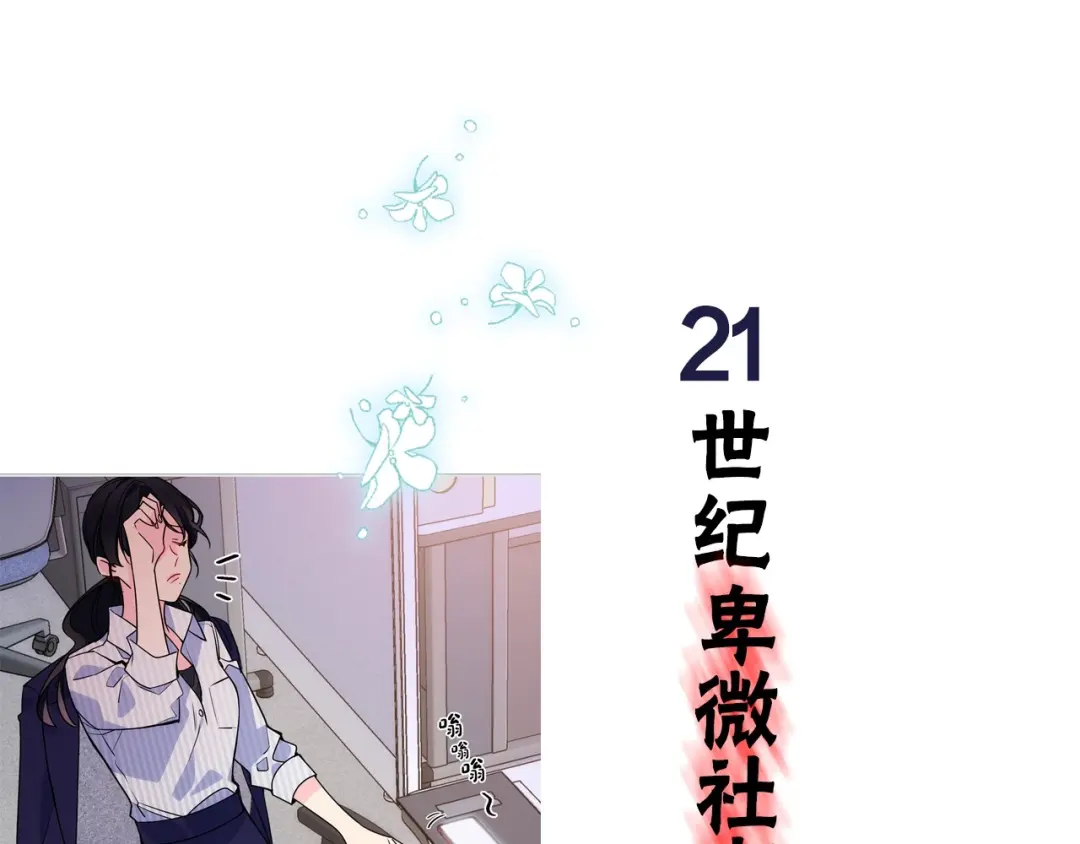 章节图片
