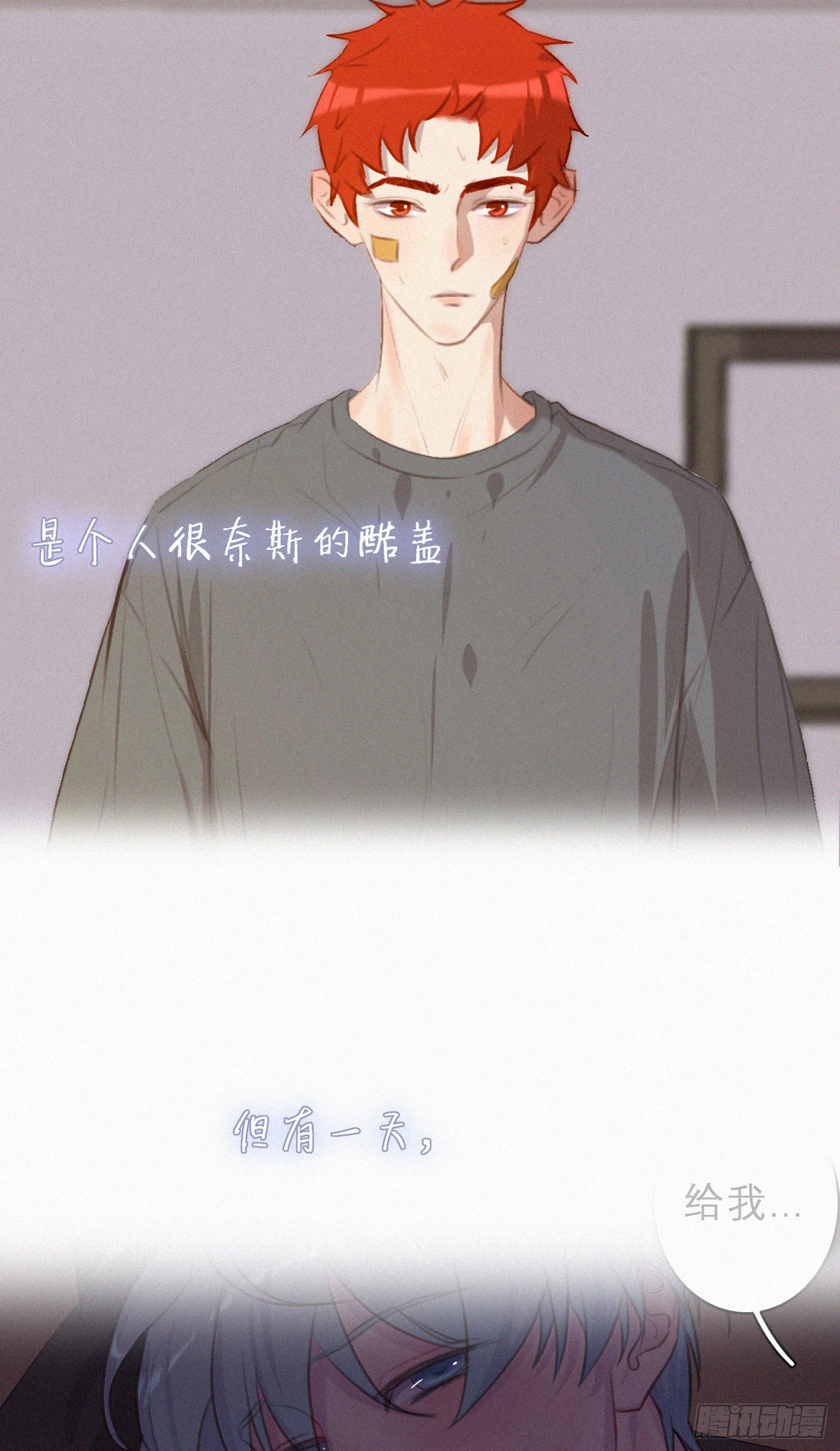 章节图片