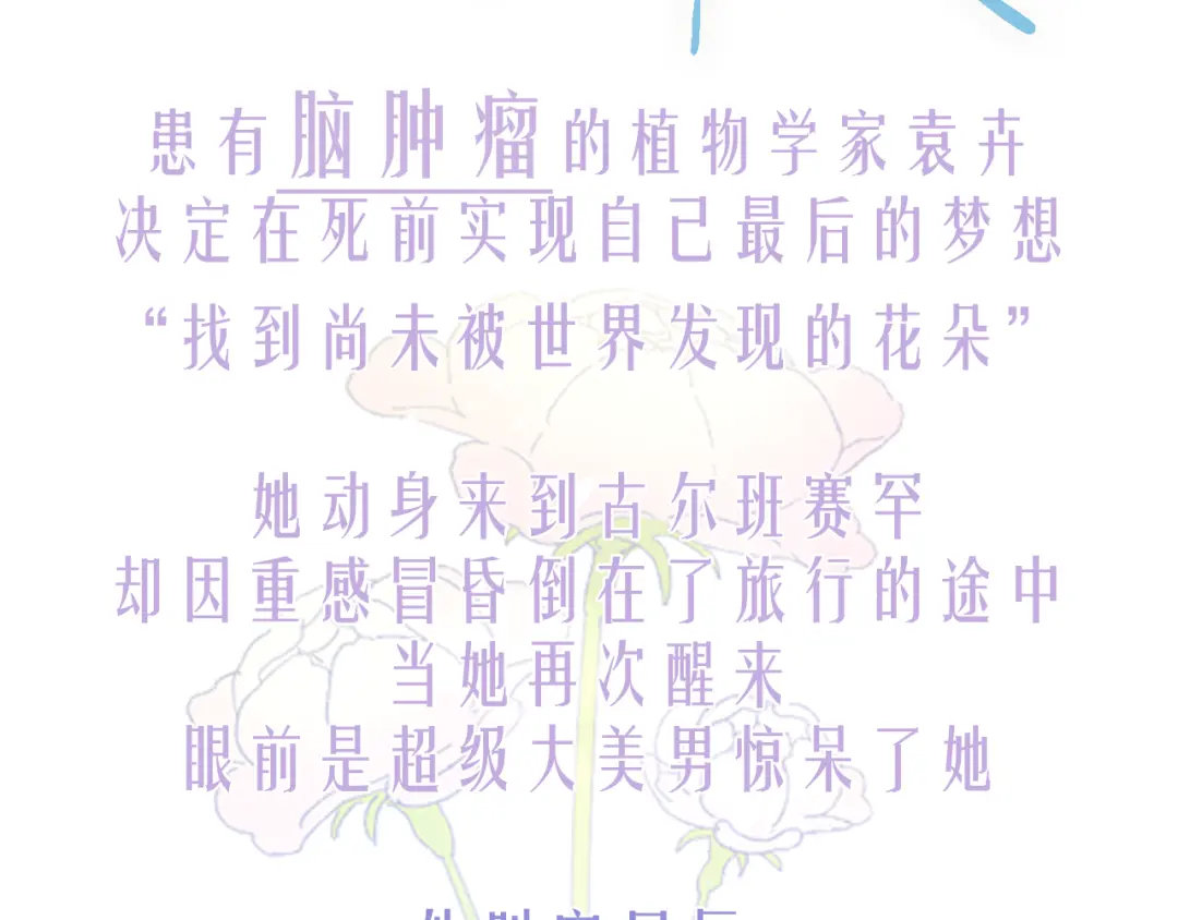 章节图片