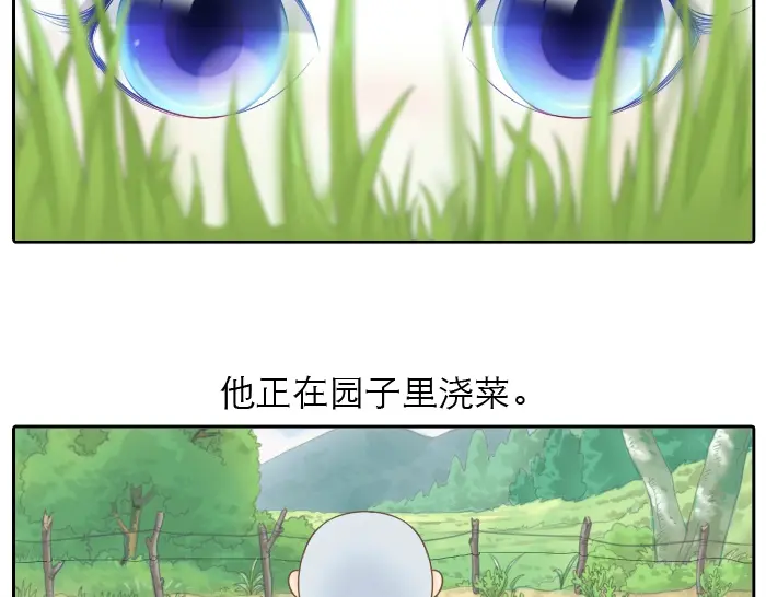 章节图片