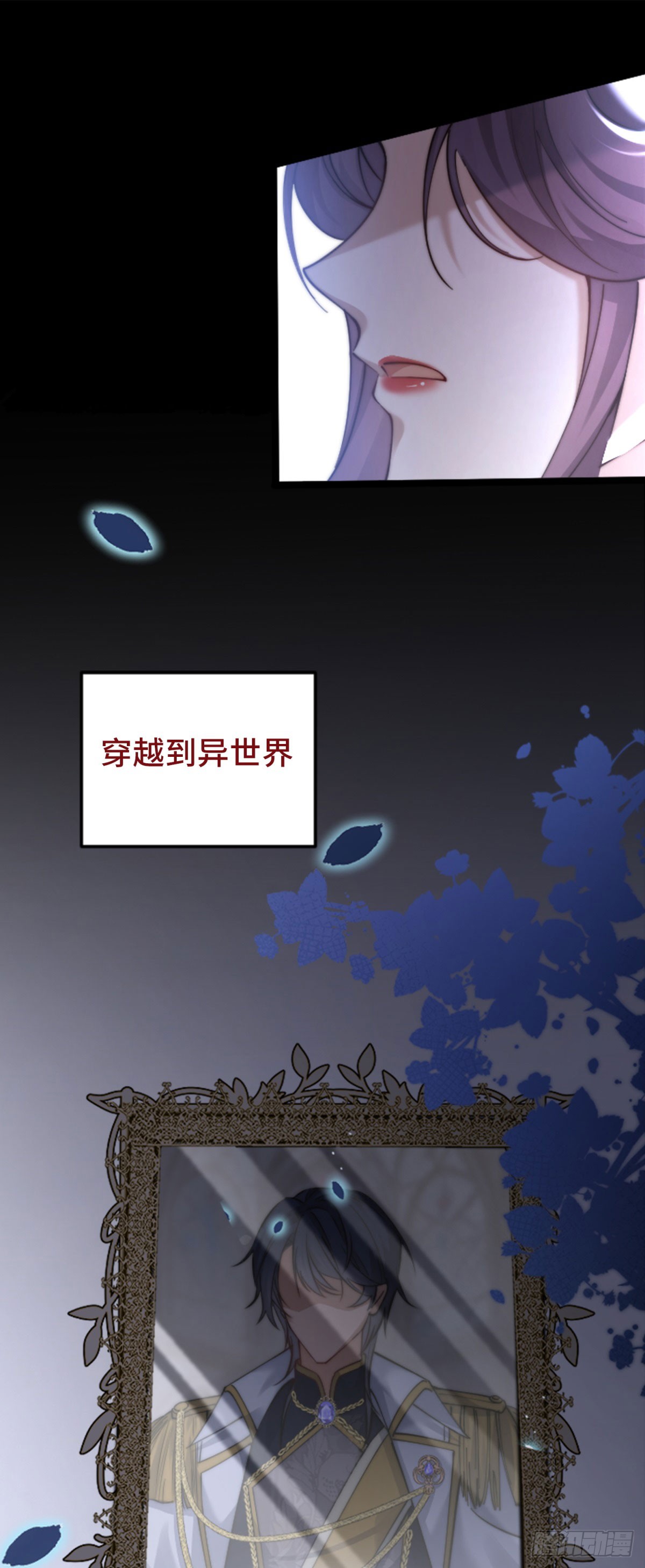 章节图片