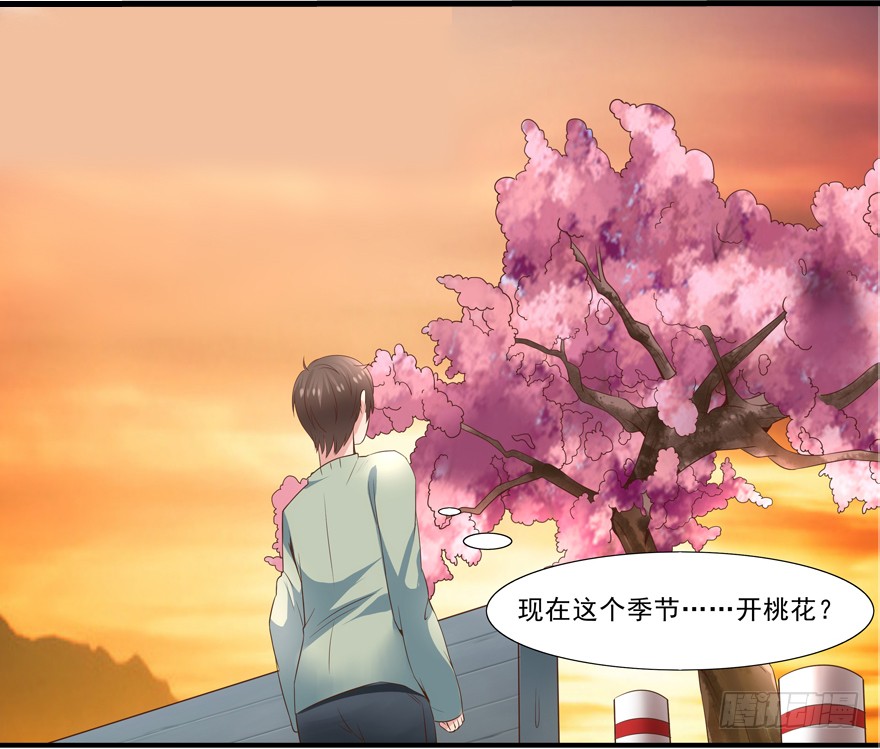 章节图片
