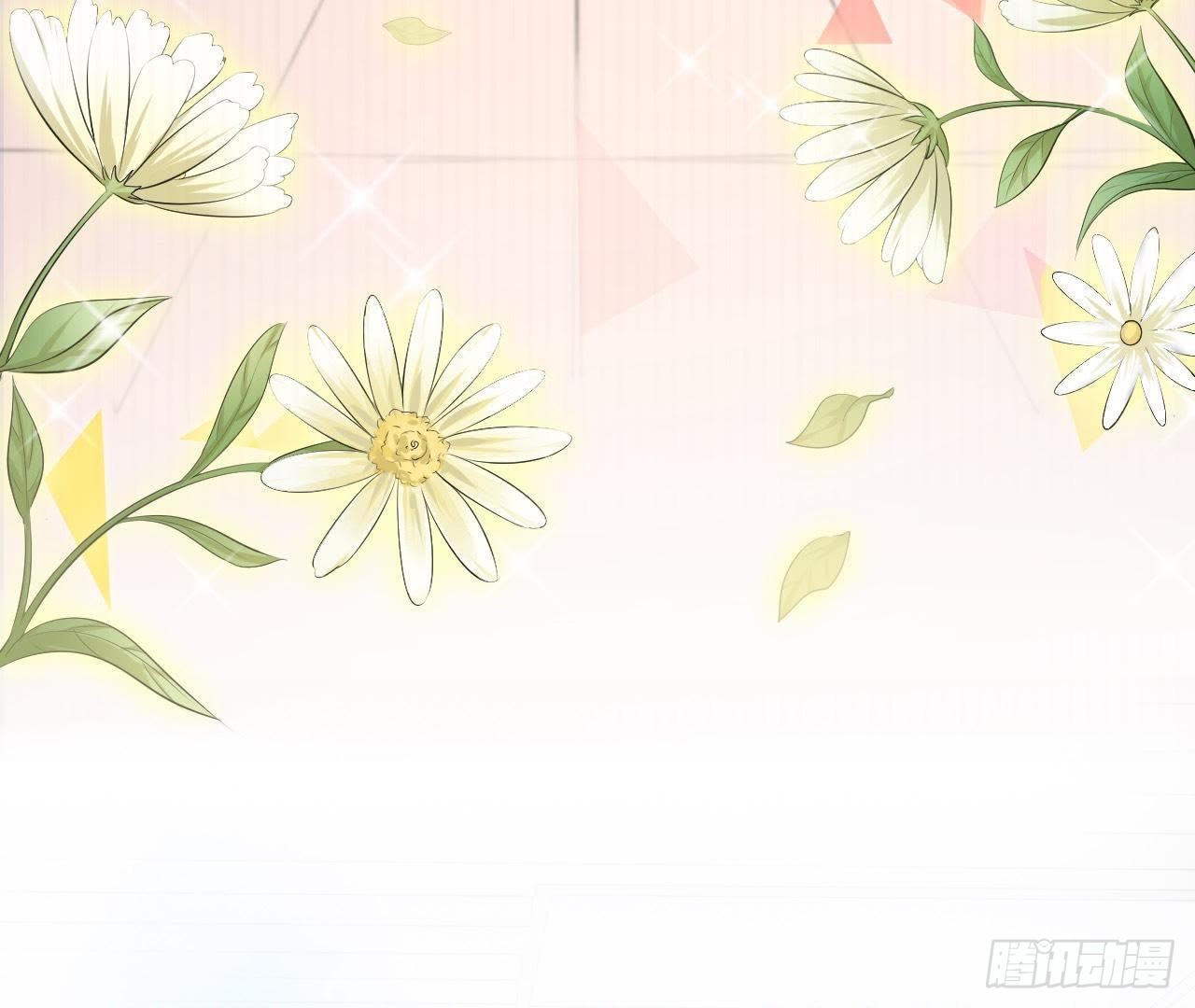 章节图片