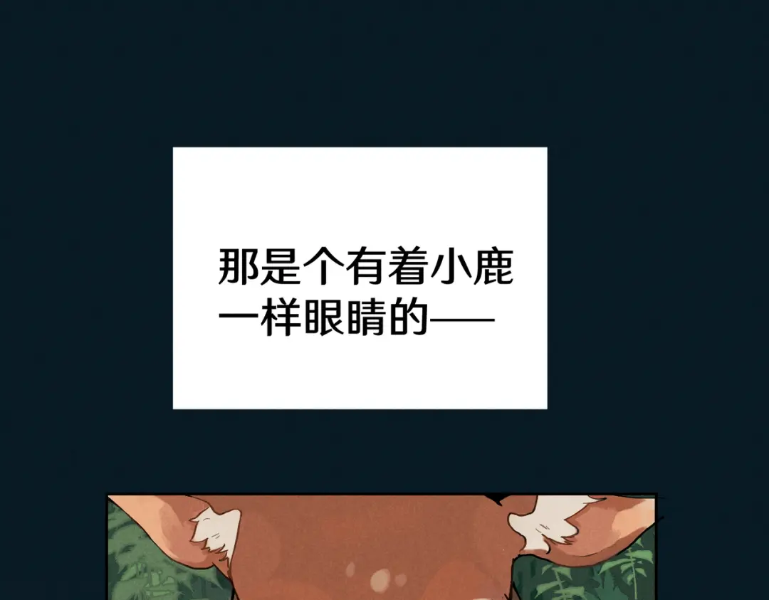 章节图片