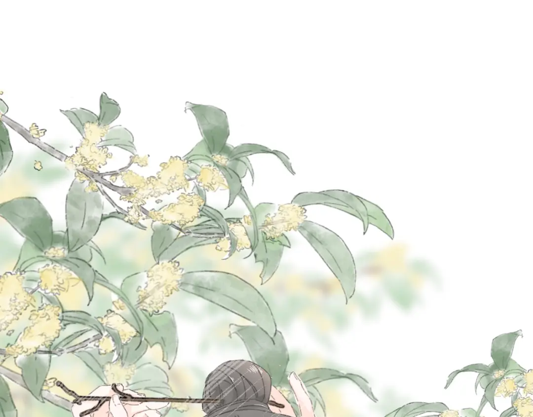章节图片