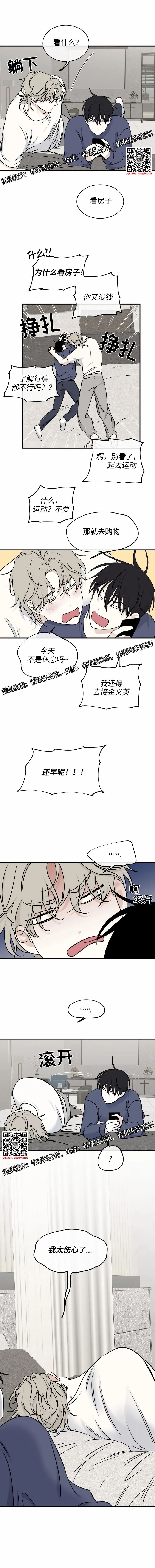 章节图片
