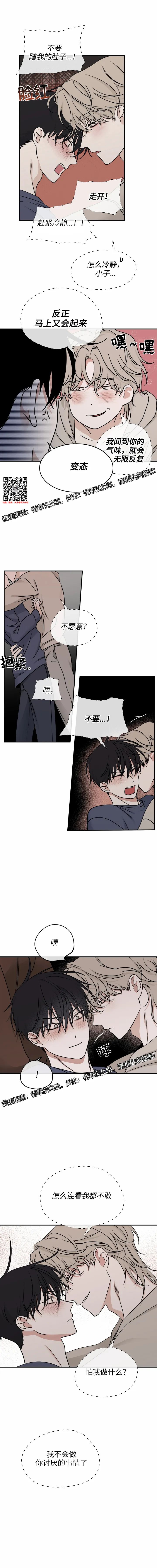 章节图片