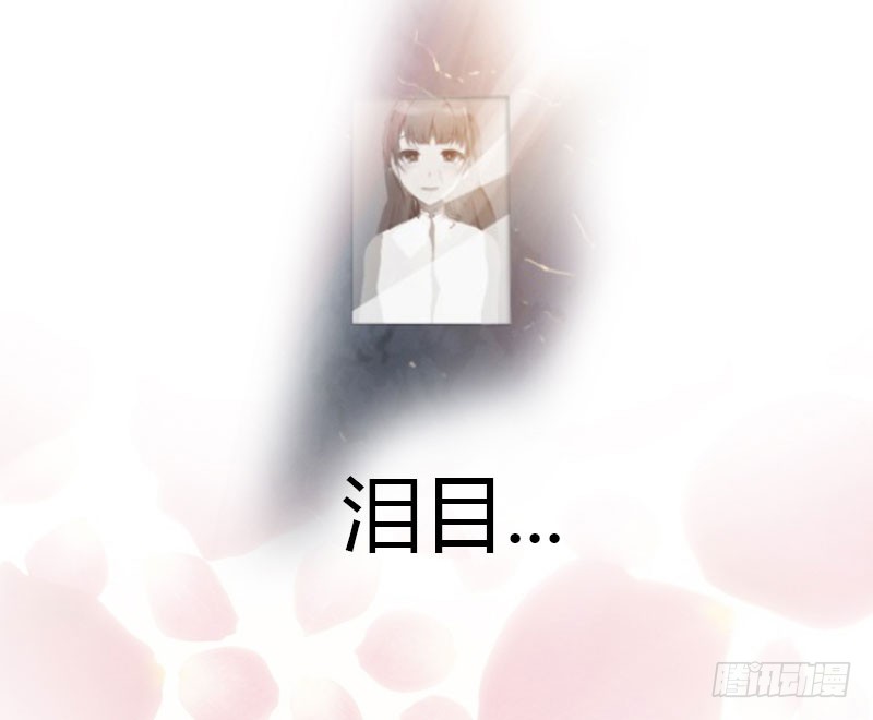 章节图片