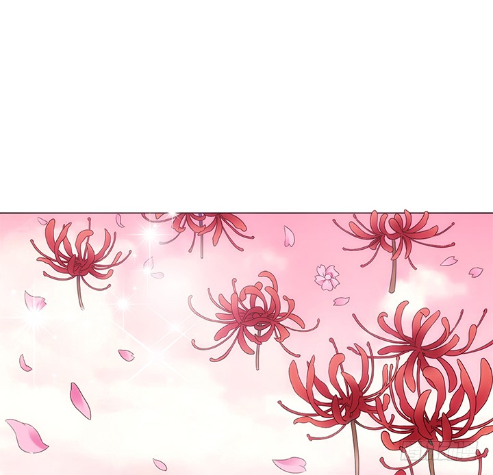 章节图片