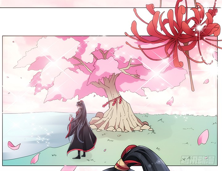 章节图片