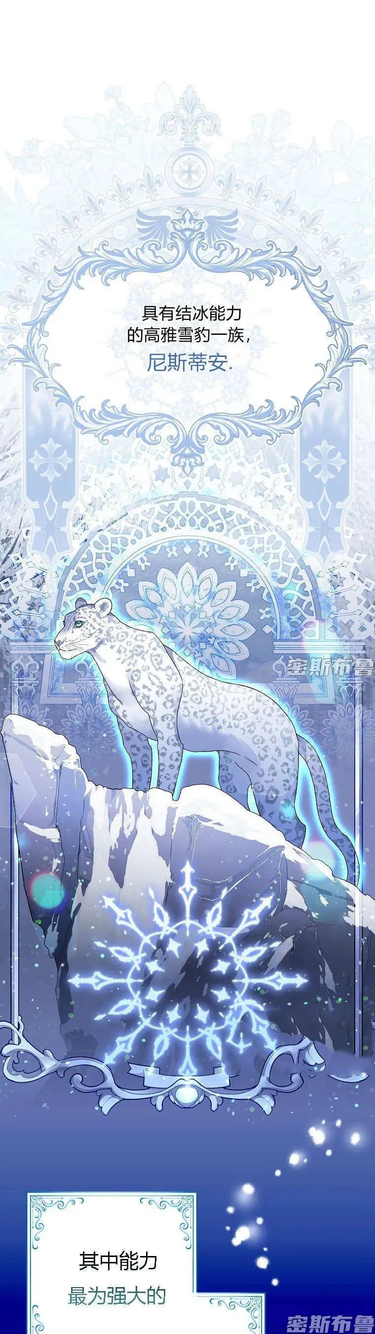 章节图片