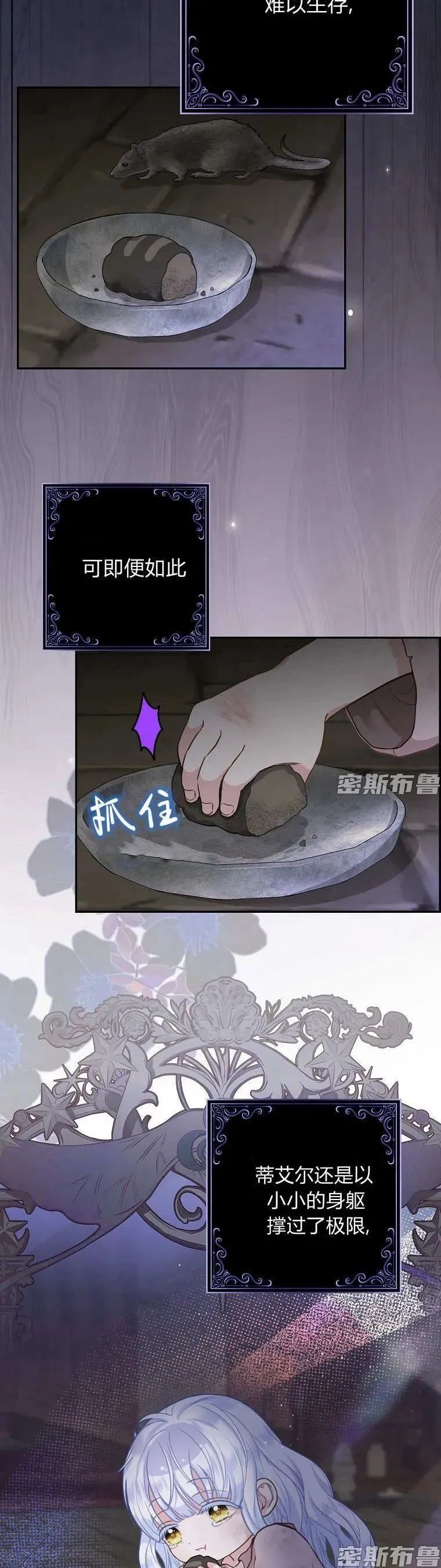 章节图片