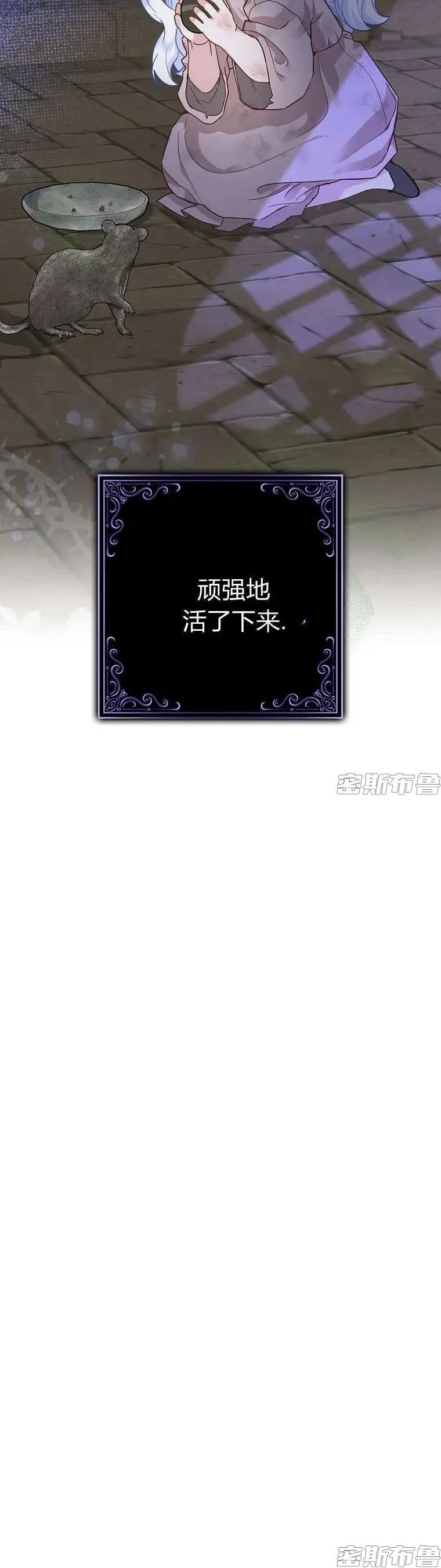章节图片