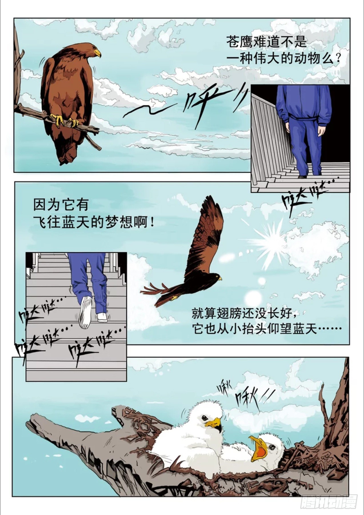 章节图片
