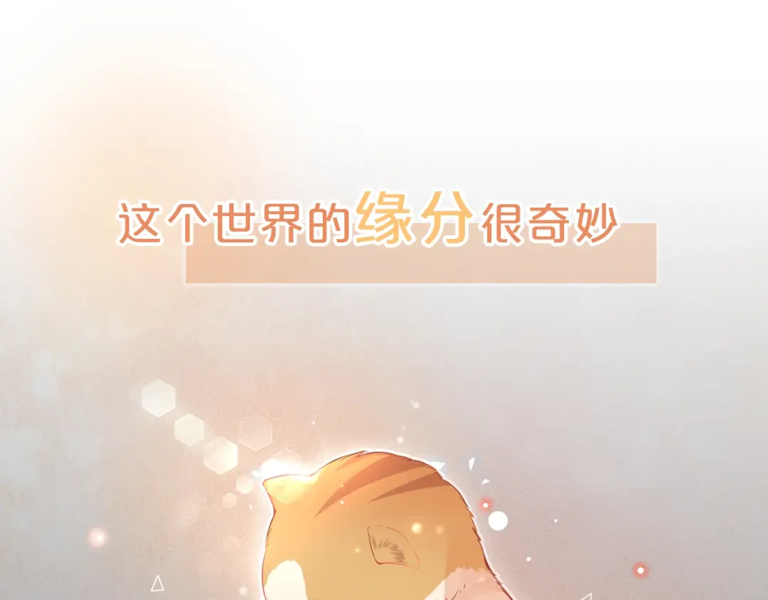 章节图片