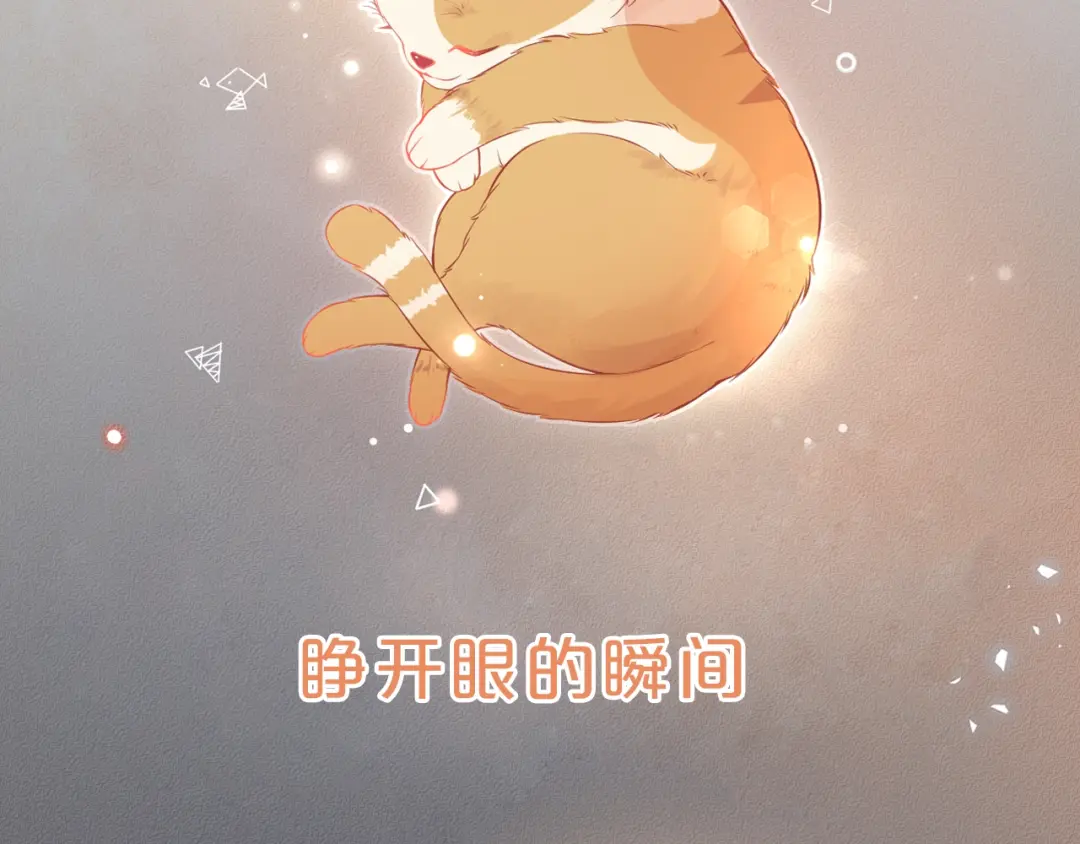 章节图片