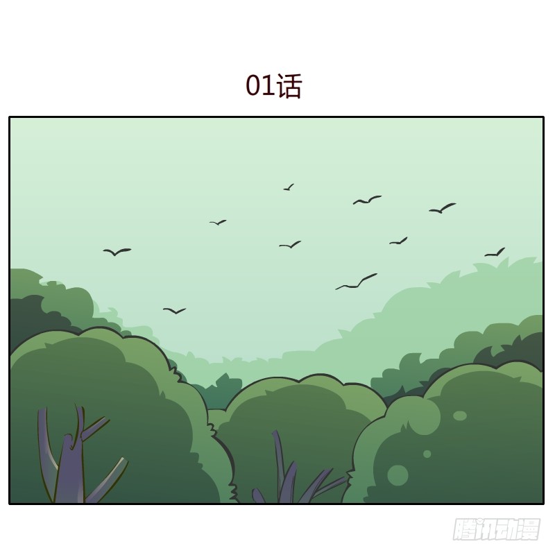 章节图片