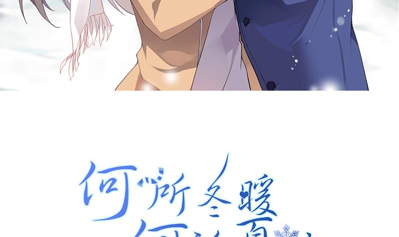 章节图片