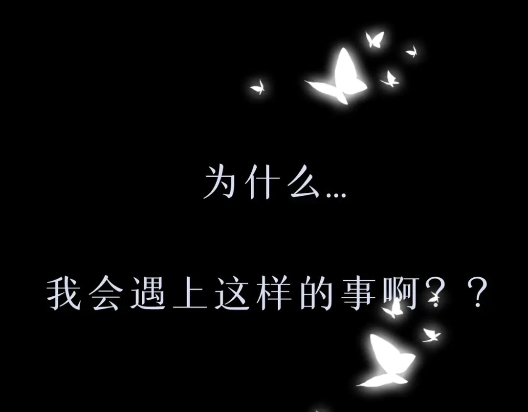章节图片