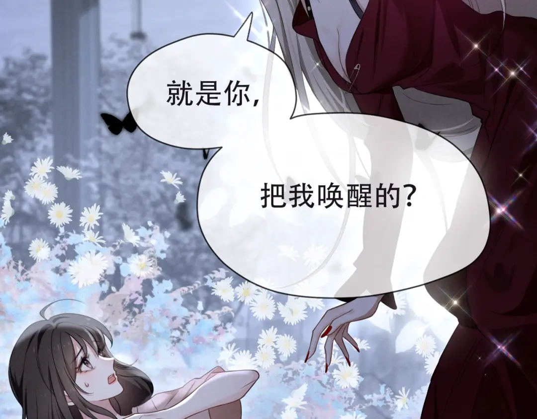 章节图片