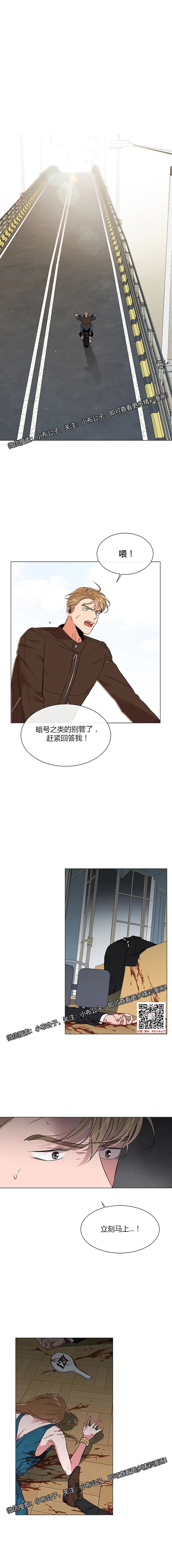 章节图片