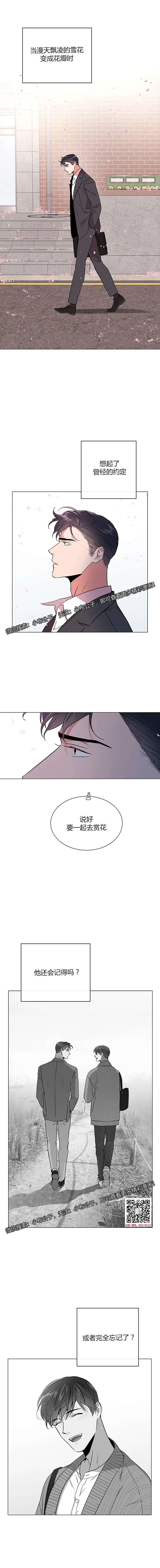 章节图片