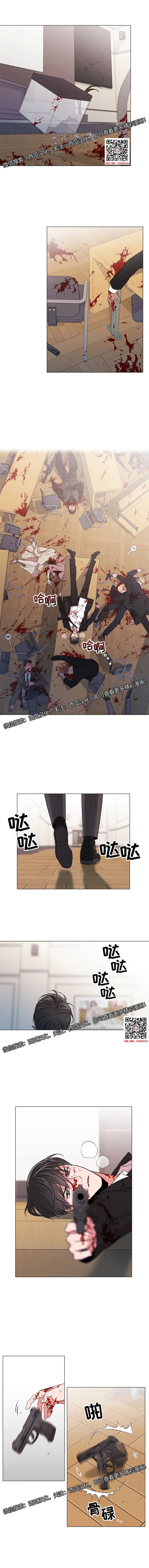 章节图片