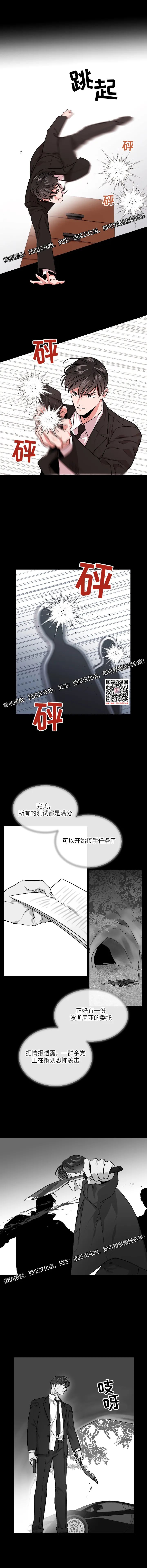 章节图片
