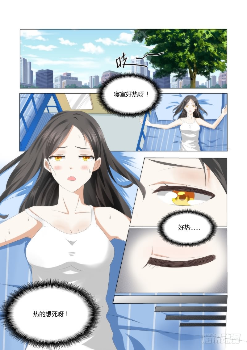 章节图片