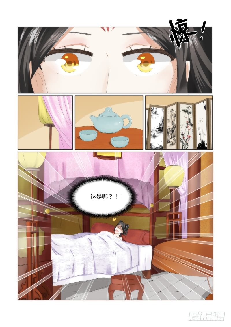 章节图片
