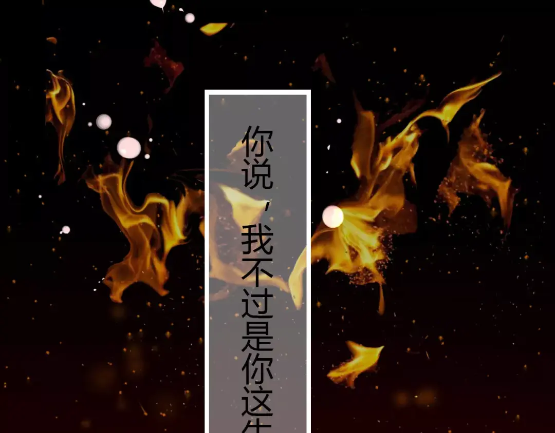 章节图片