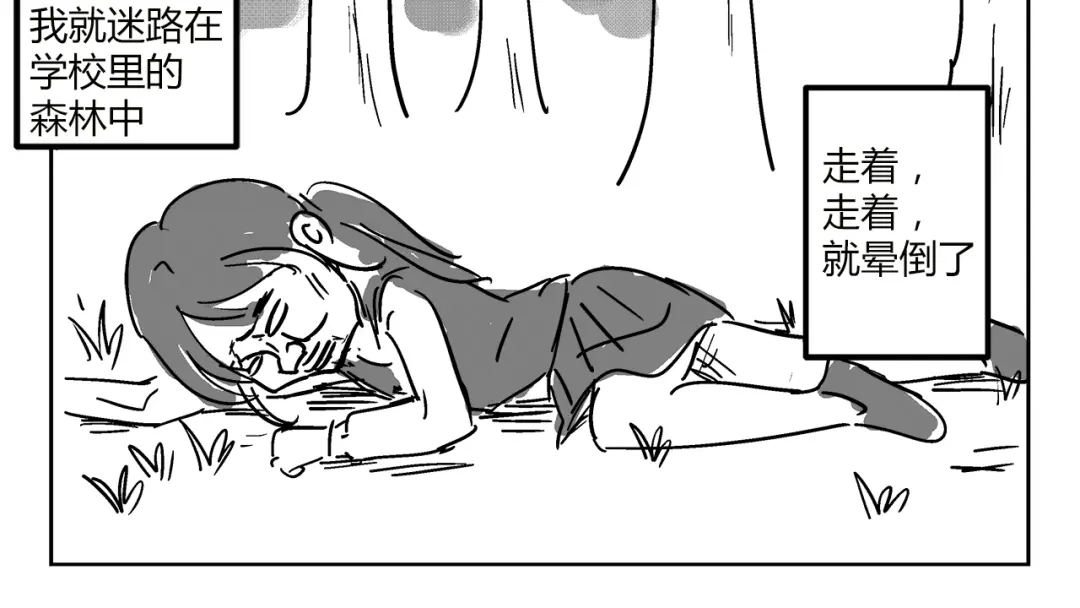 章节图片