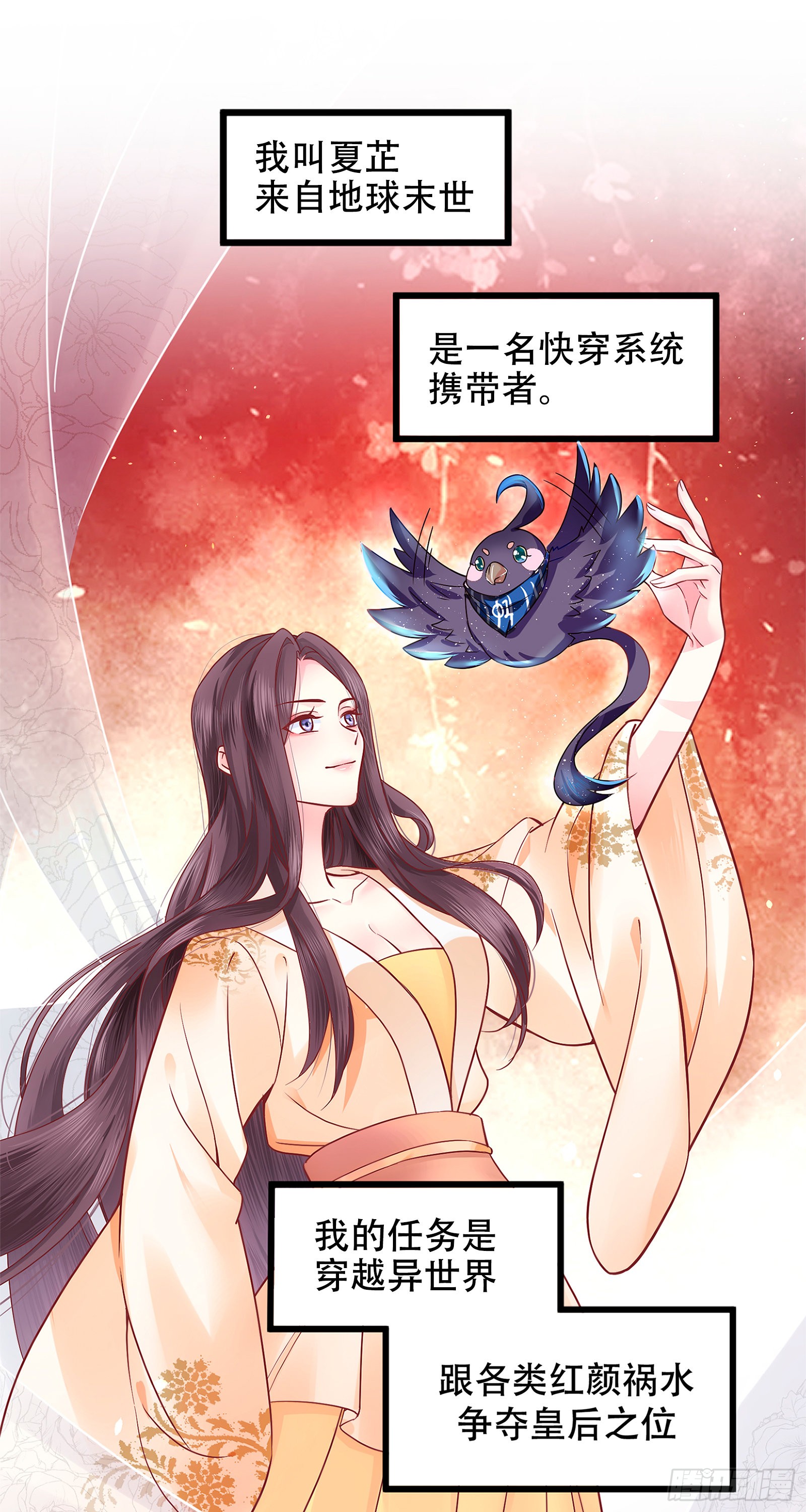 章节图片