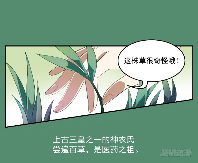 章节图片