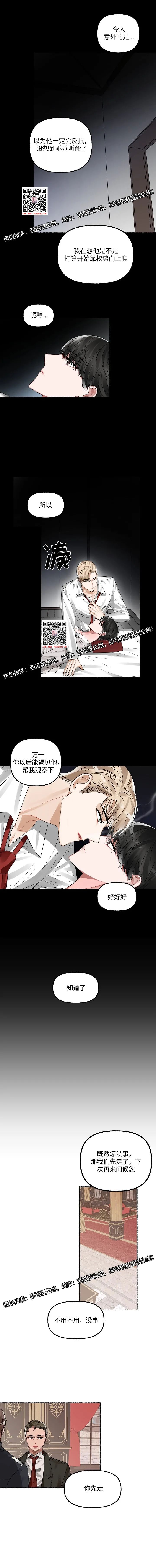 章节图片