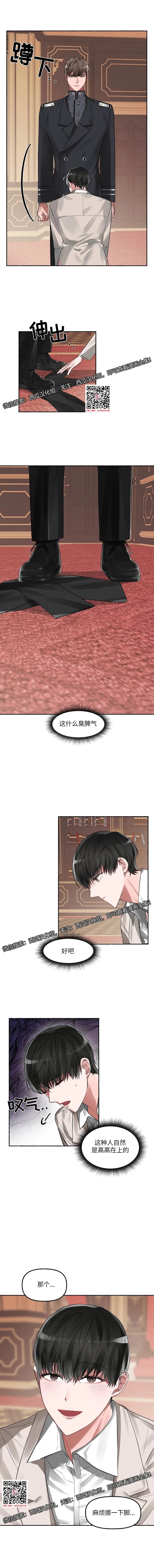 章节图片