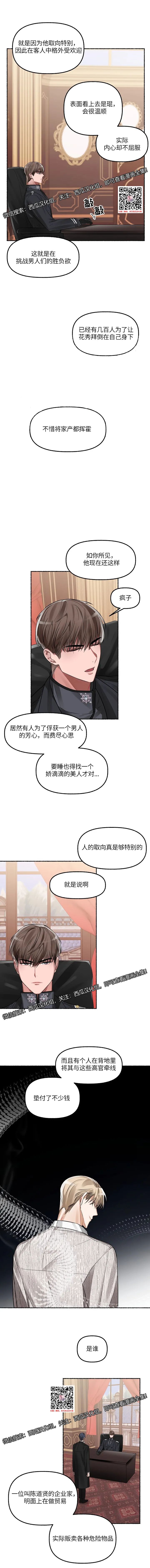 章节图片