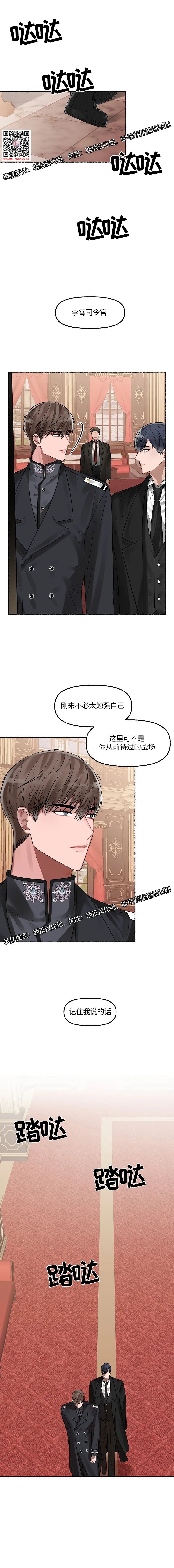 章节图片