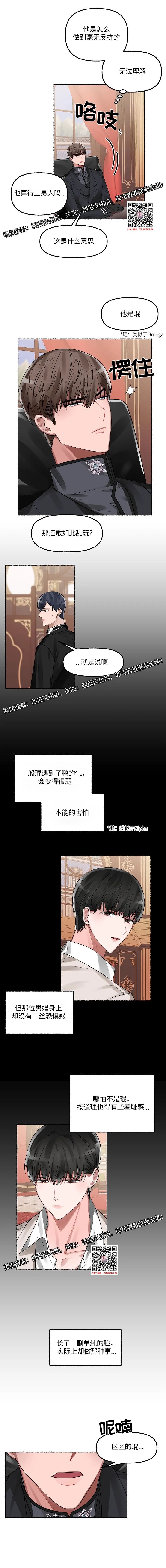 章节图片