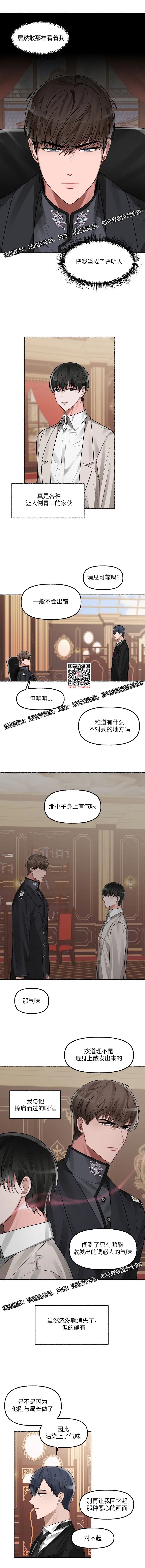 章节图片