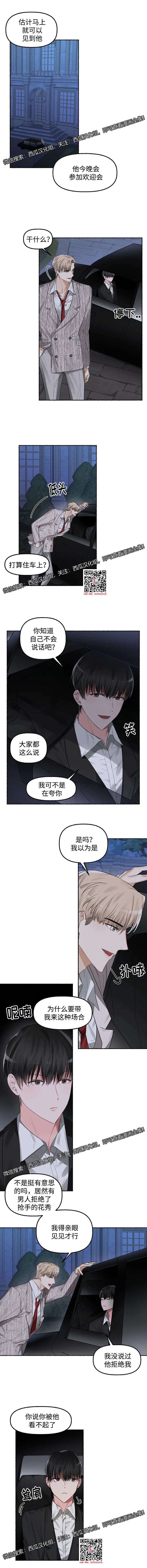 章节图片