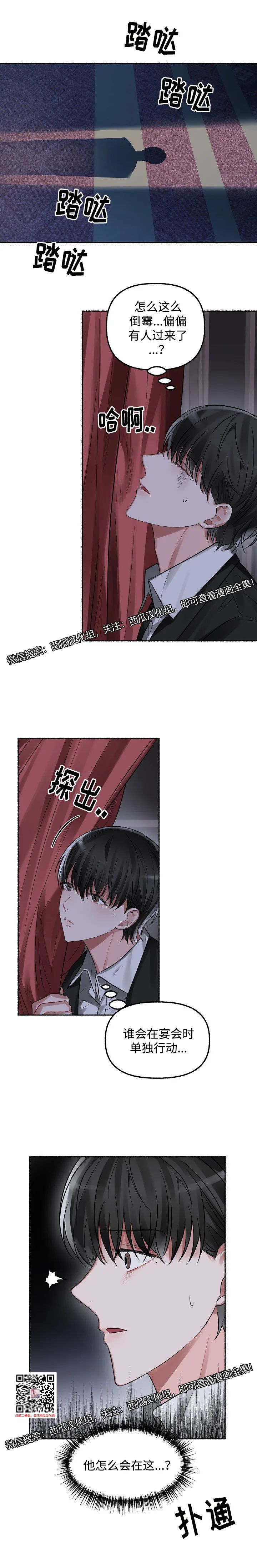 章节图片