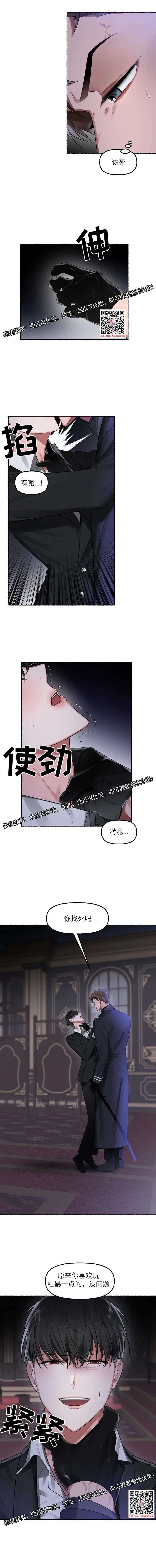 章节图片