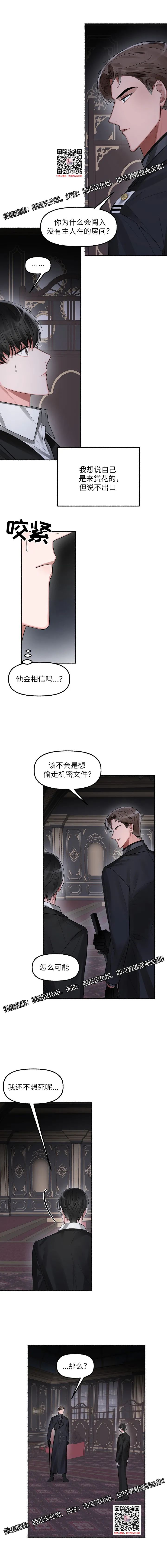 章节图片
