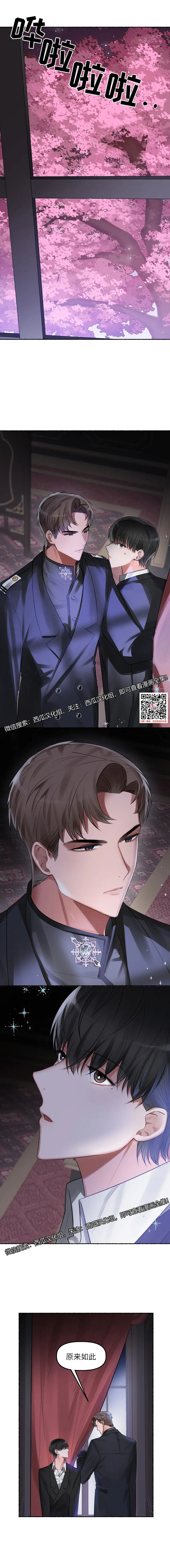 章节图片