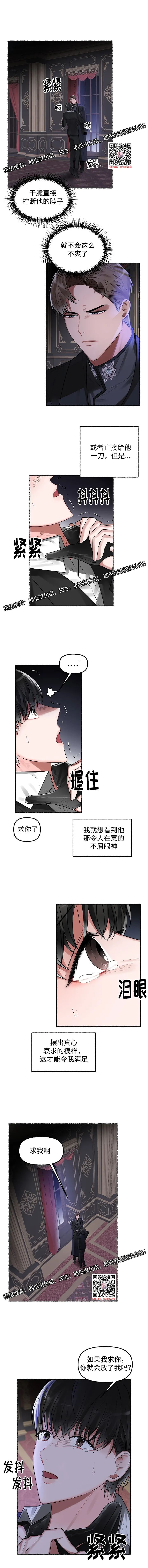 章节图片