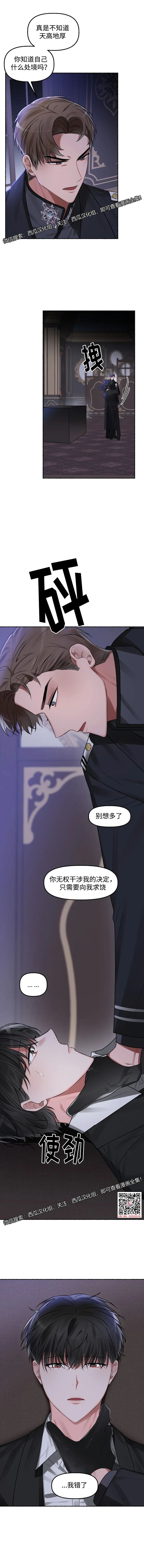 章节图片
