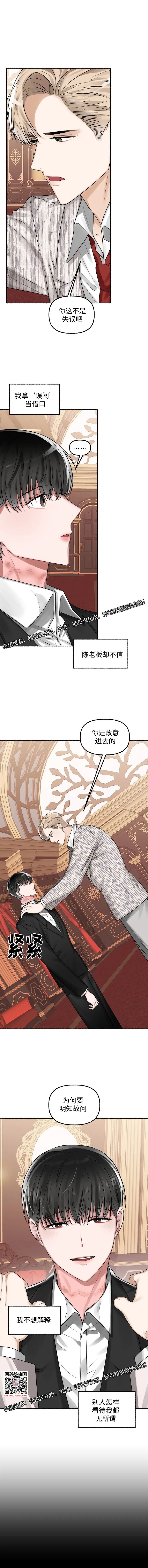 章节图片