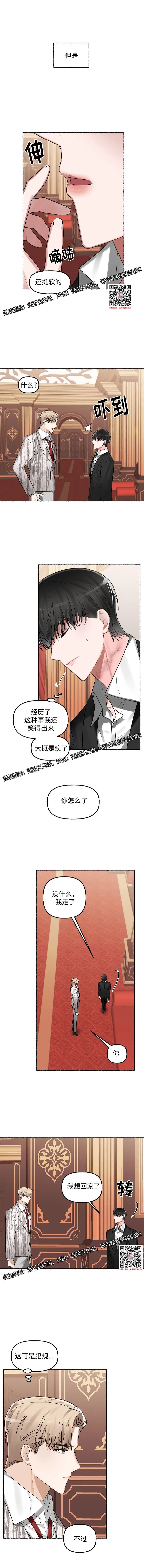 章节图片