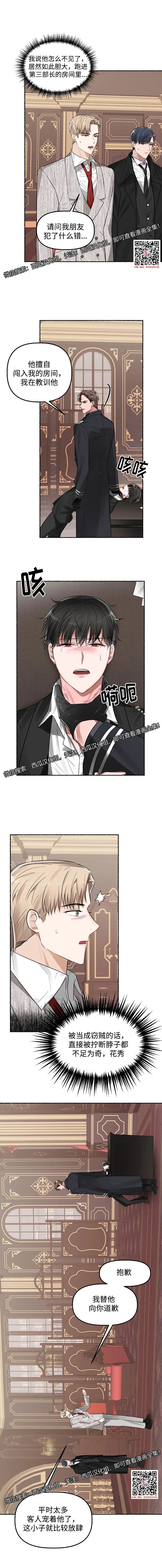 章节图片